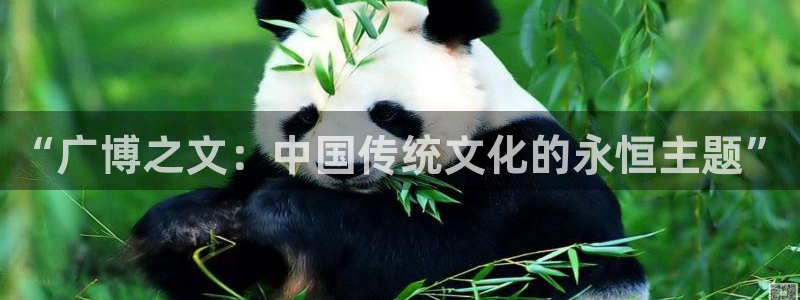 九游會阿里28：“廣博之文：中國傳統(tǒng)文化