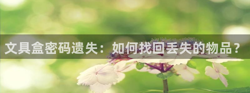 九游會(huì)aj亞州：文具盒密碼遺失：如何找回