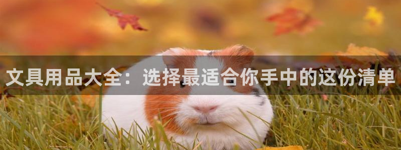 九游會體育官方：文具用品大全：選擇最適合