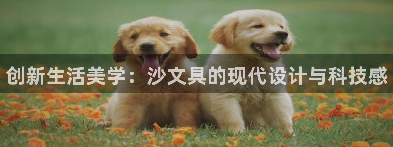 九游會倒閉：創(chuàng)新生活美學：沙文具的現(xiàn)代設