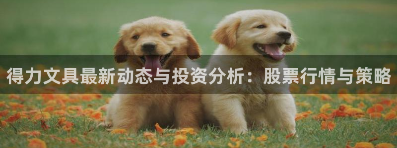 九游會app 下載：得力文具最新動態(tài)與投