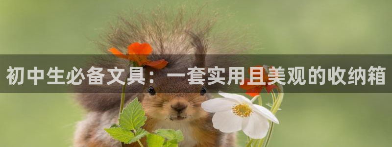 j9九游會舊版：初中生必備文具：一套實用