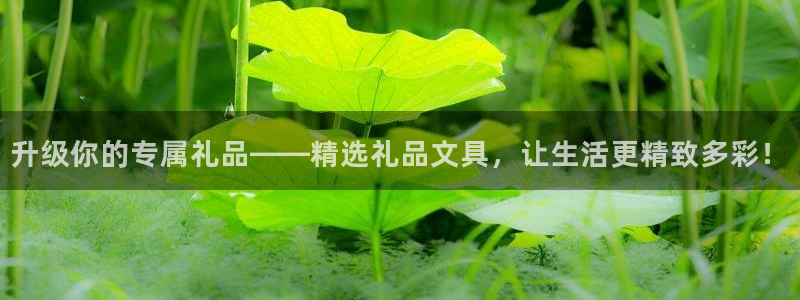 九游會(huì) 登錄：升級(jí)你的專屬禮品——精選禮