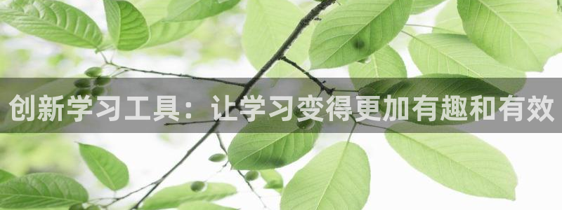 九游會(huì)a g：創(chuàng)新學(xué)習(xí)工具：讓學(xué)習(xí)變得更