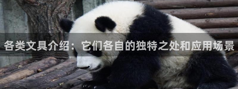 九游會郵箱：各類文具介紹：它們各自的獨特