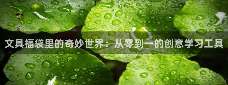 九游會ag網(wǎng)址大全：文具福袋里的奇妙世界