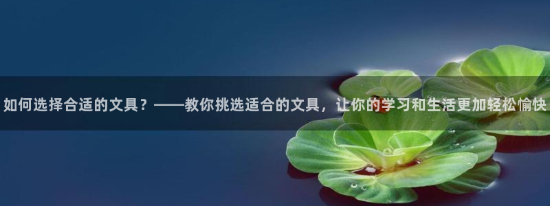 九游會登錄 - Index：如何選擇合適